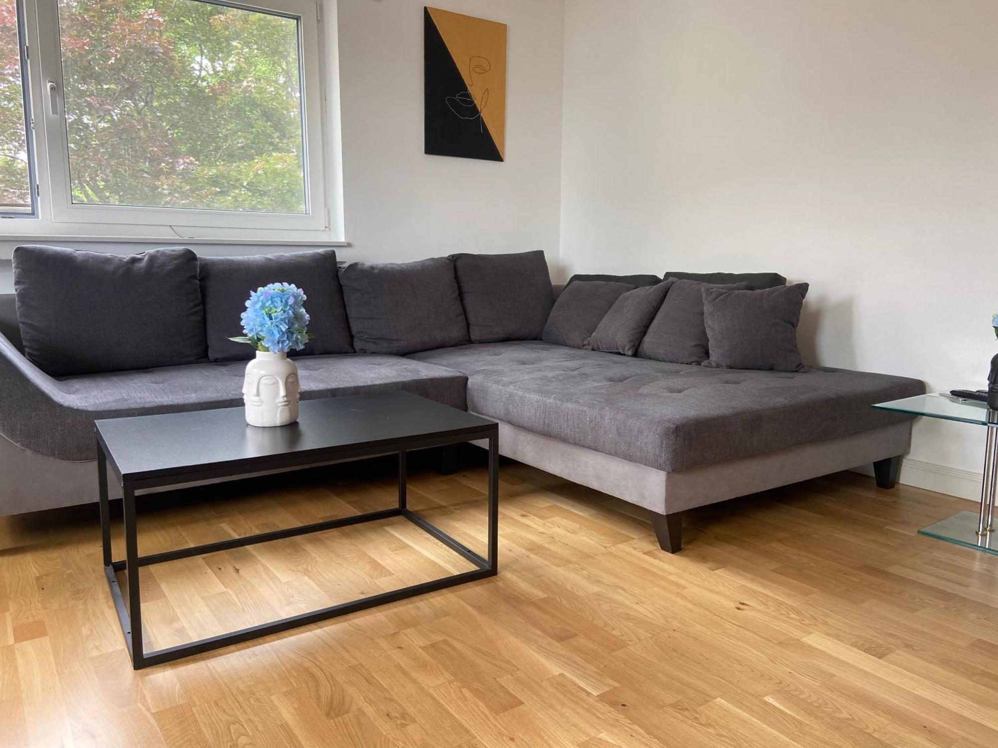 Luxury Apartment With Air Conditioning & Jaccuzzi Near Frankfurt Wiesbaden Hofheim am Taunus Exteriör bild